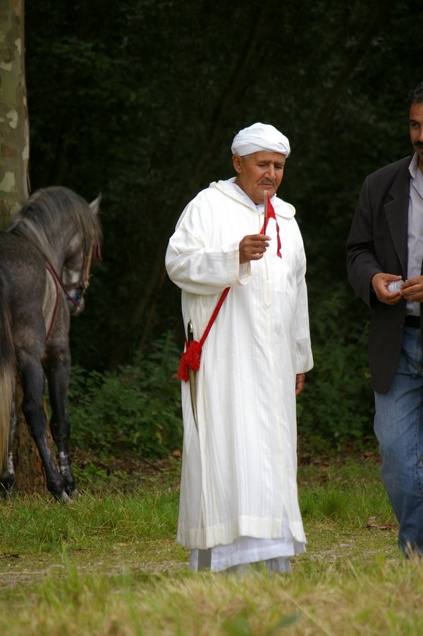 Le Maroc fete son Moussem a Evry-Bondoufle: La fete duMoussem007